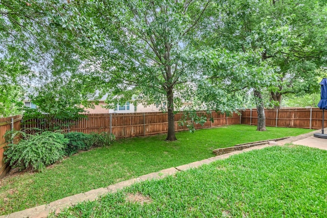6504 Bluebird Dr, Arlington, TX 76001 - view of yard