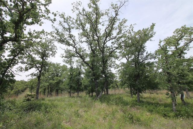 4029 Fall Creek Dr, Weatherford, TX 76087