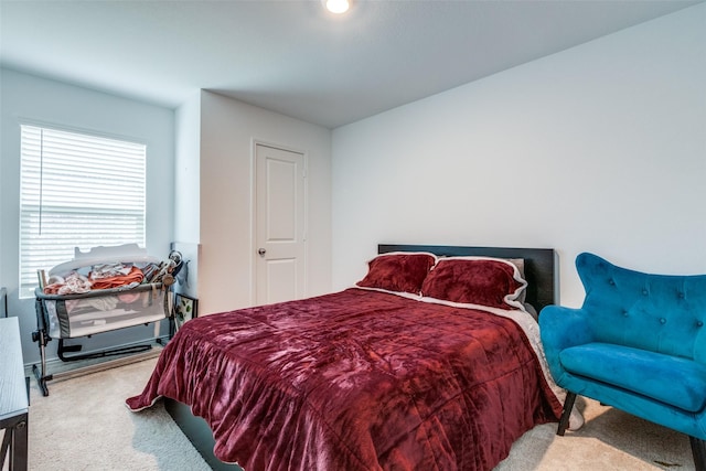 14069 Drover St, Pilot Point, TX 76258 - view of carpeted bedroom