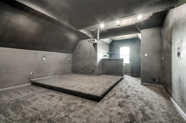 2007 Hill Country Ct, Arlington, TX 76012 - carpeted cinema with lofted ceiling, a textured wall, and baseboards