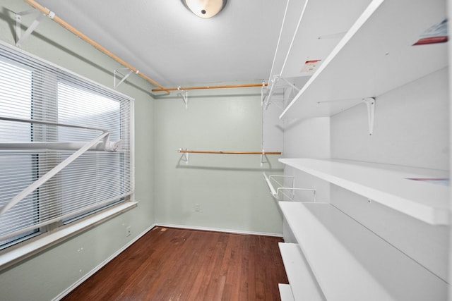 741 Oak Dale Ave, Lake Dallas, TX 75065 - walk in closet with wood finished floors