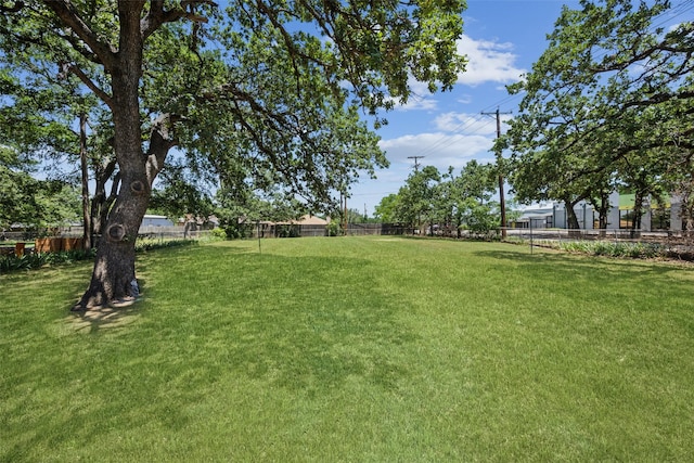 104 W Mistletoe Dr, Kennedale, TX 76060 - view of yard