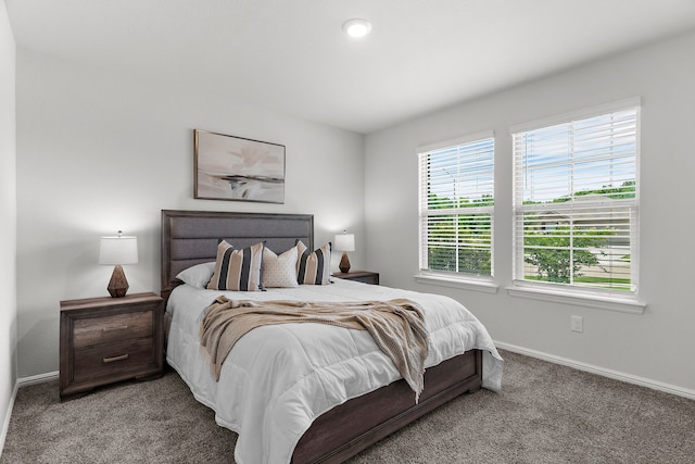 16316 Caledonia Ct, Justin, TX 76247 - carpeted bedroom with baseboards