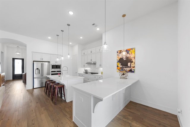 2020 Rhea Ct, Celina, TX 75009 - kitchen with appliances with stainless steel finishes, a kitchen breakfast bar, arched walkways, under cabinet range hood, and dark wood-style flooring