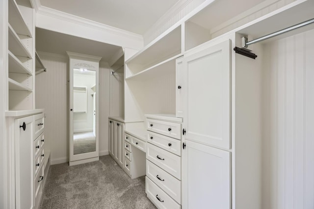 7341 Chadwick Dr, Mckinney, TX 75072 - spacious closet featuring light carpet