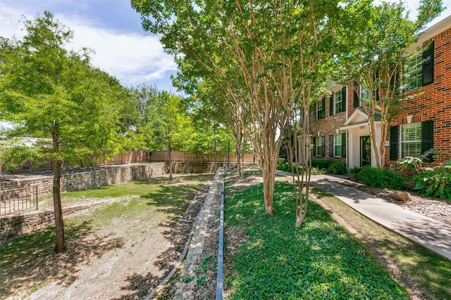 3005 Stone Forest Cir, Mckinney, TX 75070 - view of yard
