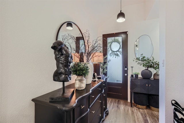 3906 Chesapeake Ln, Crandall, TX 75114 - foyer entrance featuring light wood-style floors, plenty of natural light, and vaulted ceiling