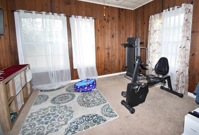 1509 S Wall, Brady, TX 76825 - exercise area with wooden walls, healthy amount of natural light, and carpet flooring