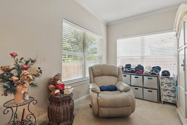 9352 Blanco Dr, Lantana, TX 76226 - sitting room featuring light colored carpet, crown molding, and baseboards