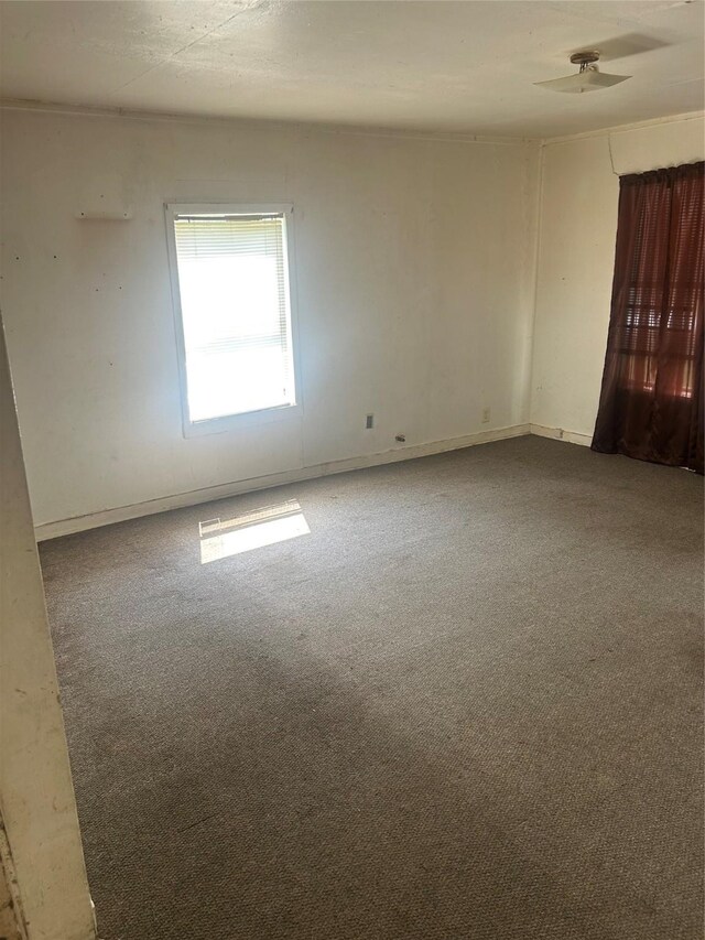 1413 E 8th Ave, Corsicana, TX 75110 - spare room with carpet floors, baseboards, and ceiling fan