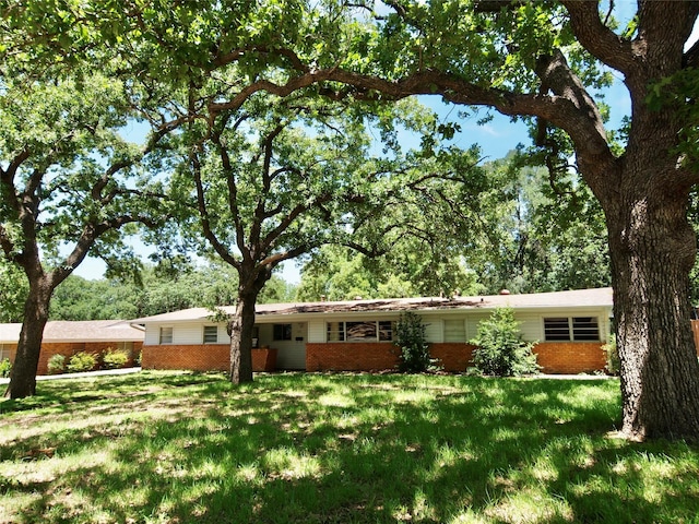1431 Brazos St, Graham, TX 76450 - view of front of house featuring brick siding and a front lawn