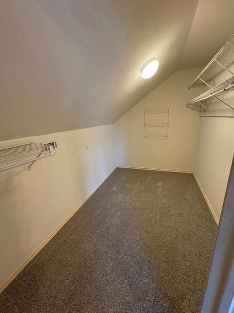 5421 Palace Dr, Richardson, TX 75082 - spacious closet with vaulted ceiling and carpet floors