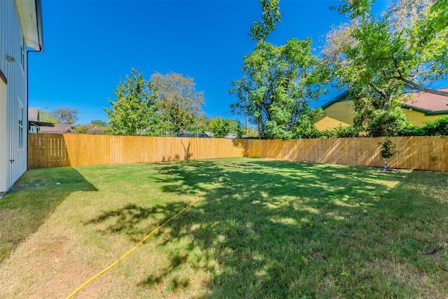 702 Graham Ave, Dallas, TX 75223 - view of yard