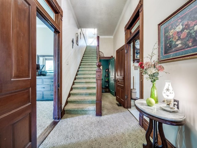 306 E Tarrant St, Bowie, TX 76230 - stairway with carpet flooring, ornamental molding, and a textured ceiling