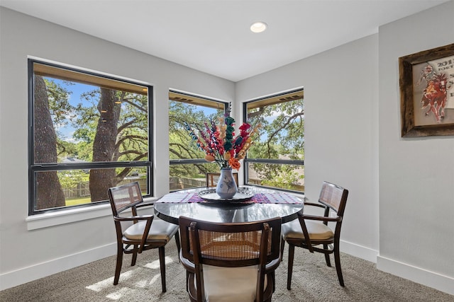 5120 Fairway Cir, Granbury, TX 76049 - carpeted dining area with baseboards and recessed lighting