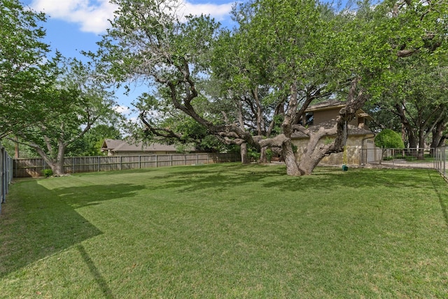 5120 Fairway Cir, Granbury, TX 76049 - view of yard