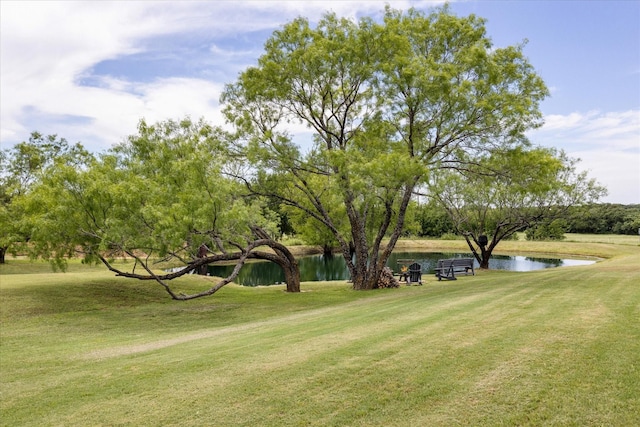 1096 Black Hawk Trl, Nemo, TX 76070 - view of grassy yard featuring a water view