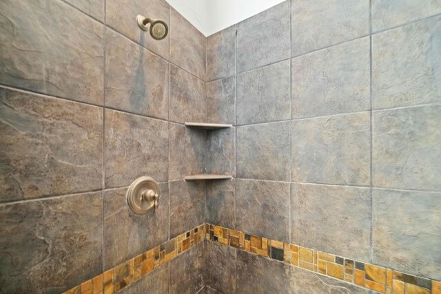 2425 Sir Lovel Ln, Lewisville, TX 75056 - bathroom view of tiled shower