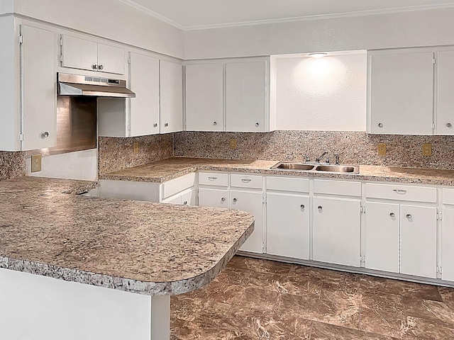 6021 Fm 3054, Malakoff, TX 75148 - kitchen with a sink, crown molding, under cabinet range hood, tasteful backsplash, and white cabinets