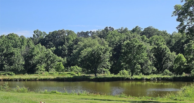 13597 County Road 35, Tyler, TX 75706 - water view with a forest