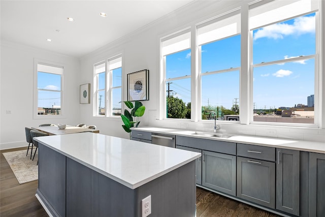 201 Carroll St, Fort Worth, TX 76107 - kitchen with gray cabinets, a sink, dark wood-style floors, crown molding, and healthy amount of natural light