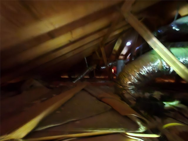 3303 Springview Ave, Dallas, TX 75216 - view of unfinished attic