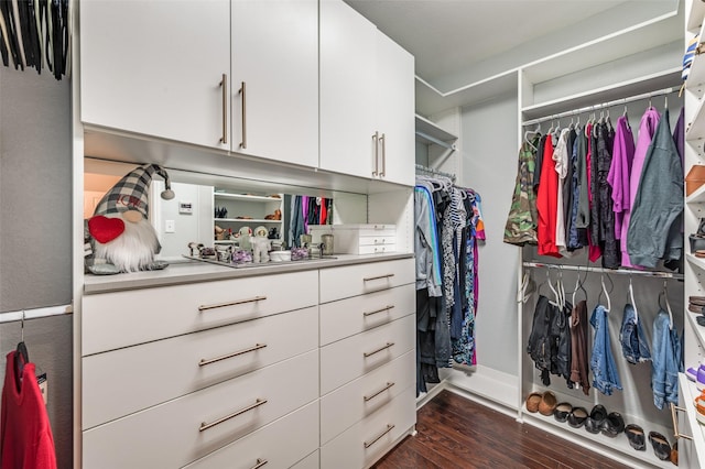 1317 Roadrunner Dr, Little Elm, TX 75068 - spacious closet featuring dark wood finished floors