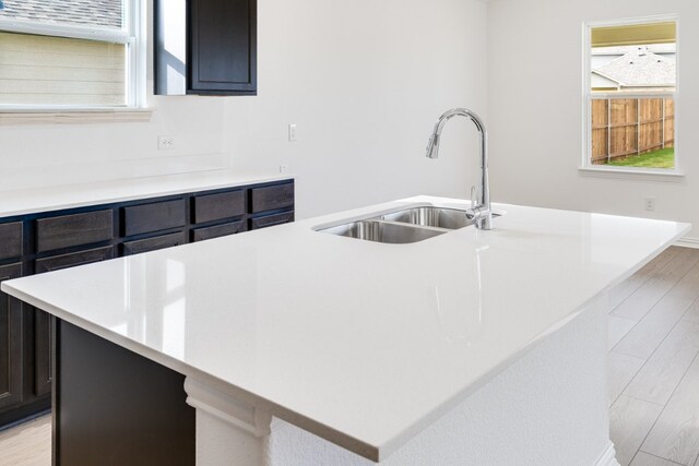 1932 Coleto Rd, Crandall, TX 75114 - kitchen with a sink, plenty of natural light, a kitchen island with sink, and light countertops