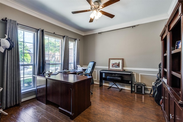 8405 White Stallion Trl, Mckinney, TX 75070 - home office with a ceiling fan, ornamental molding, plenty of natural light, and dark wood finished floors