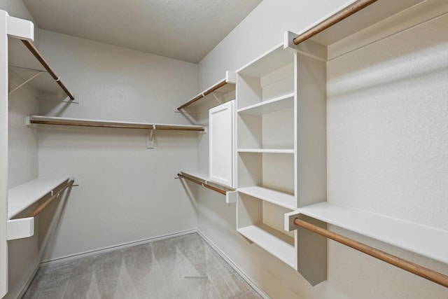 3512 Hornbeam St, Denton, TX 76226 - walk in closet with light carpet