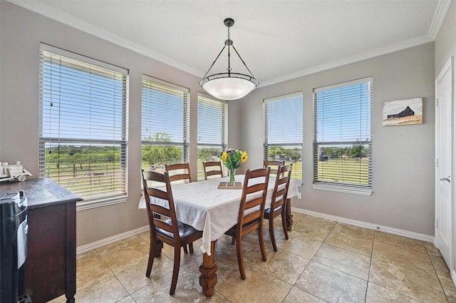 1225 County Road 1021, Burleson, TX 76028 - dining space with crown molding and baseboards