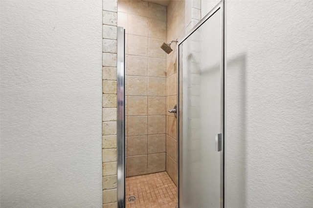 1225 County Road 1021, Burleson, TX 76028 - full bathroom with a shower stall and a textured wall