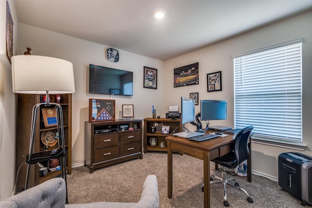 1316 Briar Hill Dr, Denton, TX 76207 - office with carpet flooring and baseboards