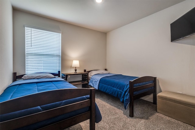 1316 Briar Hill Dr, Denton, TX 76207 - view of carpeted bedroom