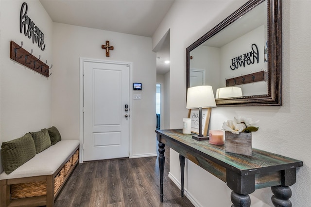 1316 Briar Hill Dr, Denton, TX 76207 - foyer entrance with dark wood-type flooring and baseboards