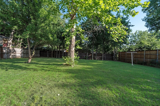 3467 Binyon St, Fort Worth, TX 76133 - view of yard