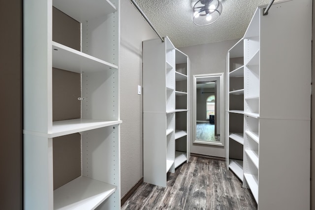 250 E Bancroft Dr, Garland, TX 75040 - spacious closet with wood finished floors