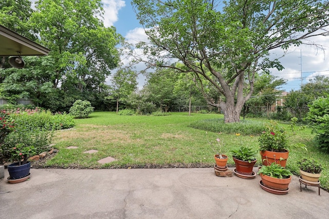 1113 Stanley St, Denton, TX 76201 - view of grassy yard with a patio area