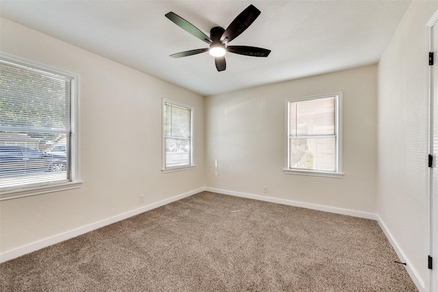 1628 Florence St, Arlington, TX 76010 - empty room with carpet and plenty of natural light