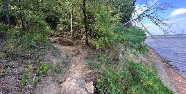 TBD S Oakmont Ct, Gordonville, TX 76245