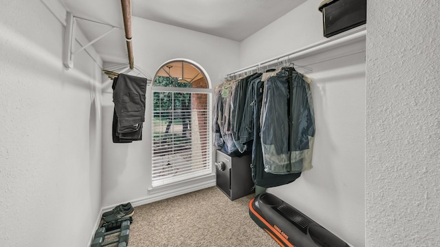 120 Oak Hollow Ct S, Azle, TX 76020 - spacious closet featuring carpet floors