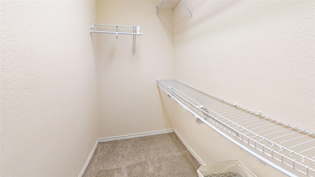 2801 Hereford Rd, Denton, TX 76210 - walk in closet with carpet floors