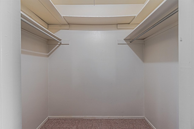 3626 Holly Tree Trl, Garland, TX 75044 - spacious closet with carpet