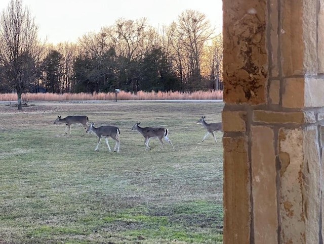 632 County Road 1952, Yantis, TX 75497 - view of property's community featuring a yard