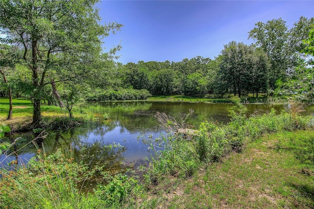 221 County Road 1946, Emory, TX 75440 - water view featuring a heavily wooded area