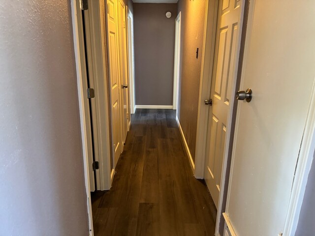 3422 Palm Dr, Mesquite, TX 75150 - corridor with dark wood finished floors and baseboards