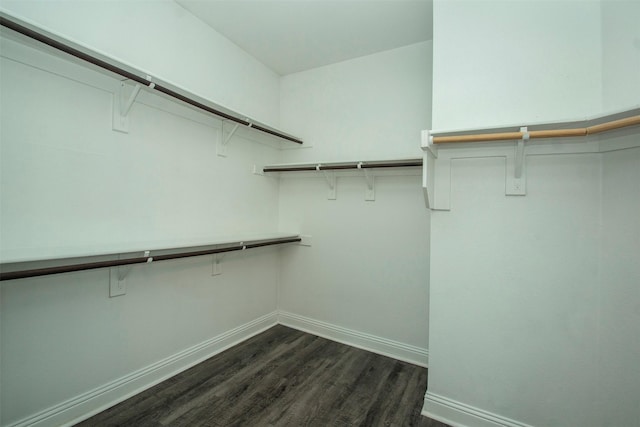 3613 Pisa Mews, Dallas, TX 75236 - spacious closet featuring dark wood-style floors
