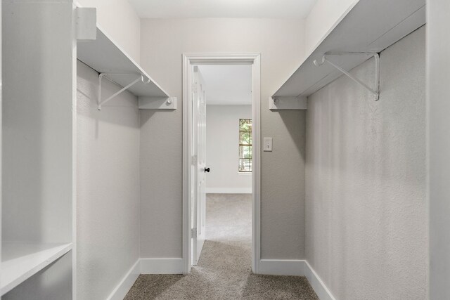 3562 Bent Oak St E, Greenville, TX 75401 - walk in closet with carpet floors