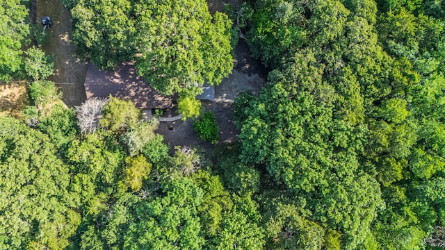 3562 Bent Oak St E, Greenville, TX 75401 - aerial view of property and surrounding area