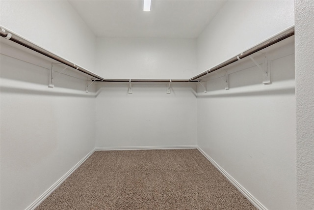 101 Lisa Ln, Royse City, TX 75189 - walk in closet with carpet flooring